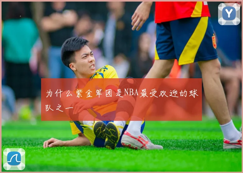 为什么紫金军团是NBA最受欢迎的球队之一